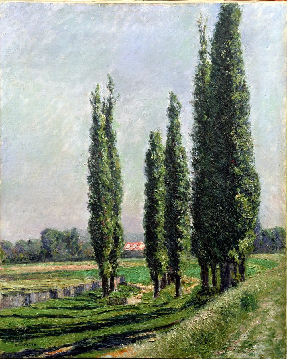 Nyárfák az Argenteuil-i folyóparton (olaj, vászon) alkotó: Gustave Caillebotte