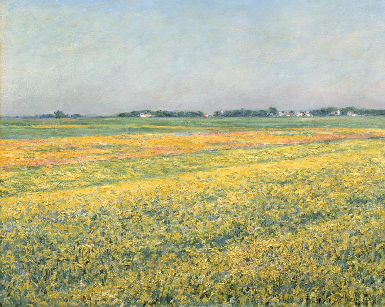 Gennevilliers síksága, Yellow Fields; Gennevilliers síksága, sárga mezők, 1884 alkotó: Gustave Caillebotte