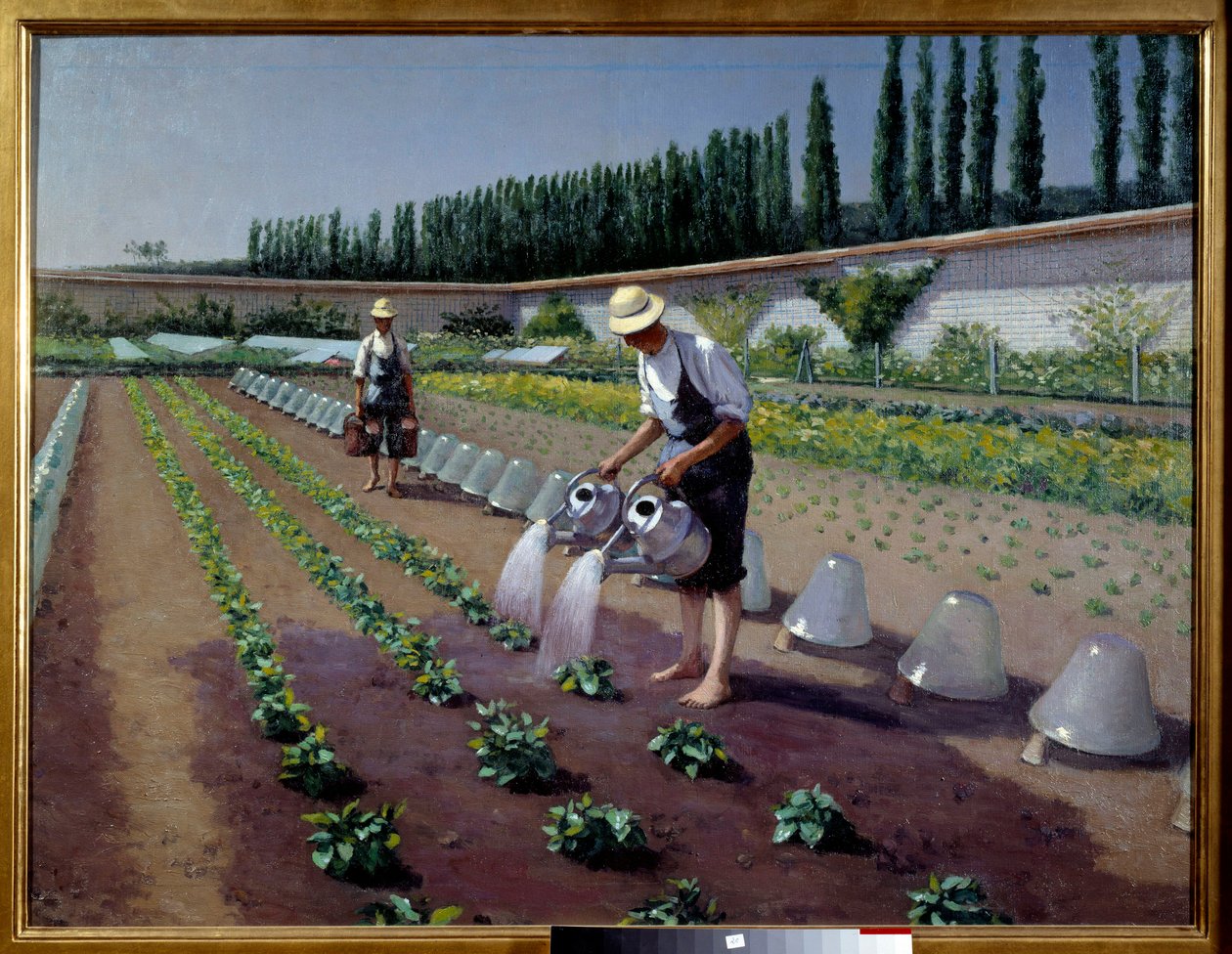A kertészek. Két férfi az öntözőkannájával öntözi az ültetvényüket. Közelükben üvegharangok takarták a termést. Gustave Caillebotte (1848-1894) festménye alkotó: Gustave Caillebotte