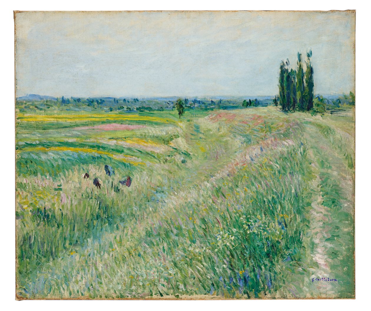 A gennevilliers-i síkság, nyárfacsoport, 1883 körül (olaj, vászon) alkotó: Gustave Caillebotte