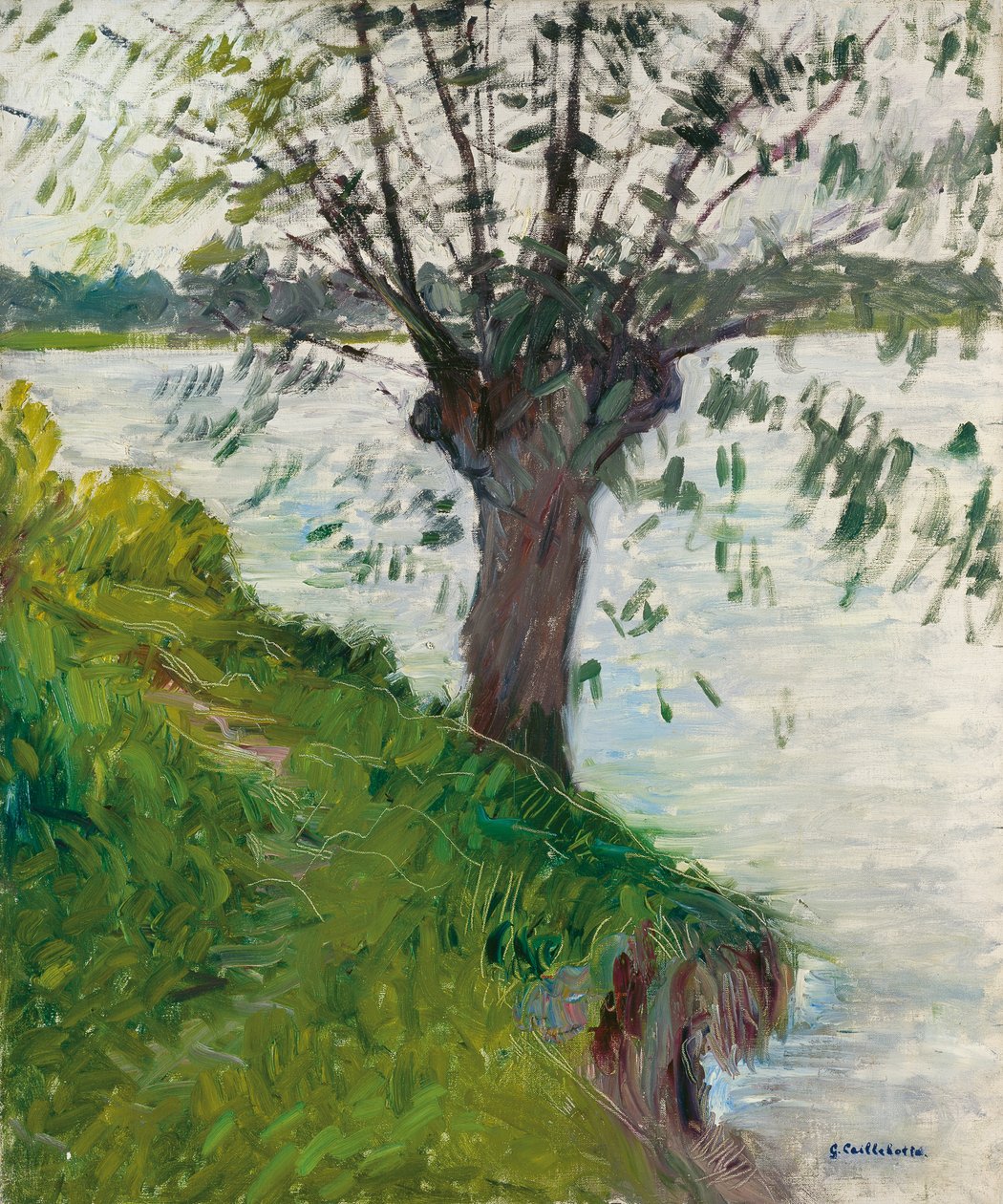 Fűz a folyó mellett; Saule au bord de la riviere, c. 1891 alkotó: Gustave Caillebotte