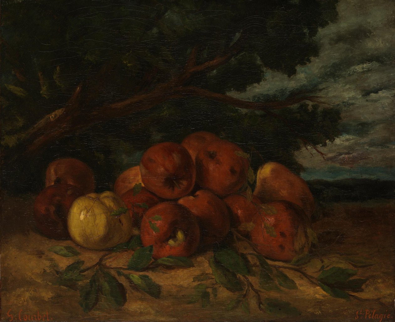 Csendélet almákkal alkotó: Gustave Courbet