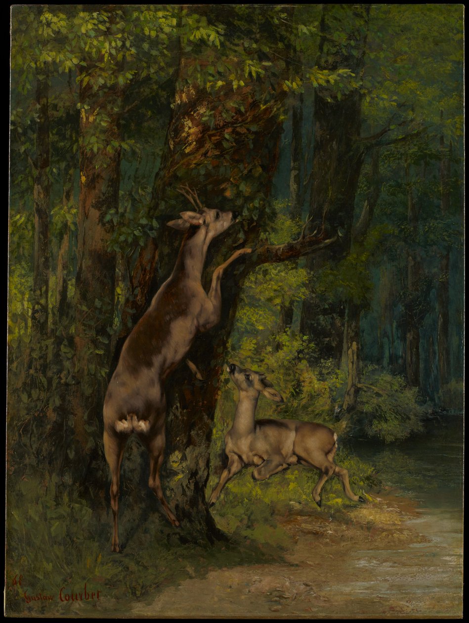 Szarvasok az erdőben alkotó: Gustave Courbet