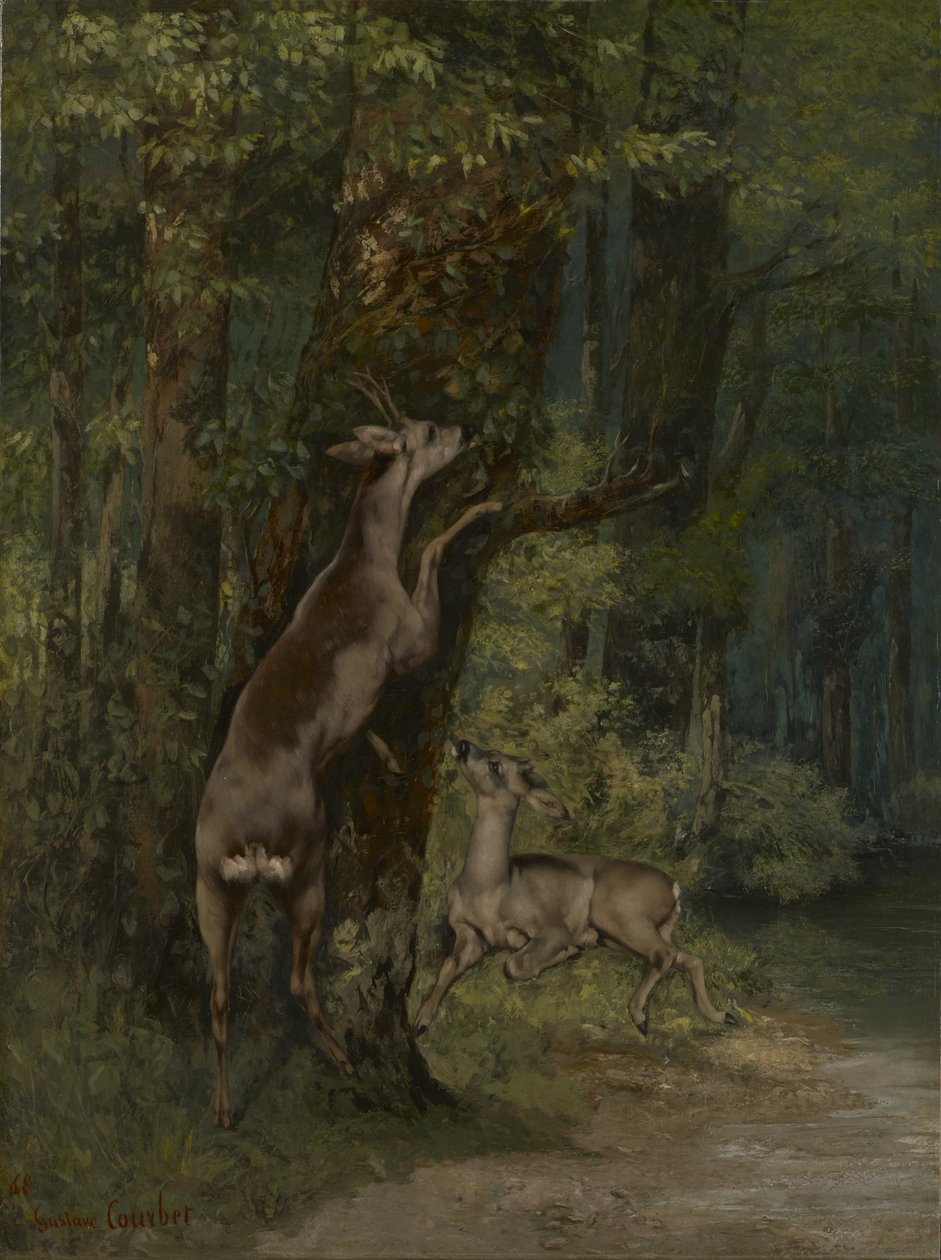 Francia: Cerfs dans la forêt Szarvasok az erdőben alkotó: Gustave Courbet