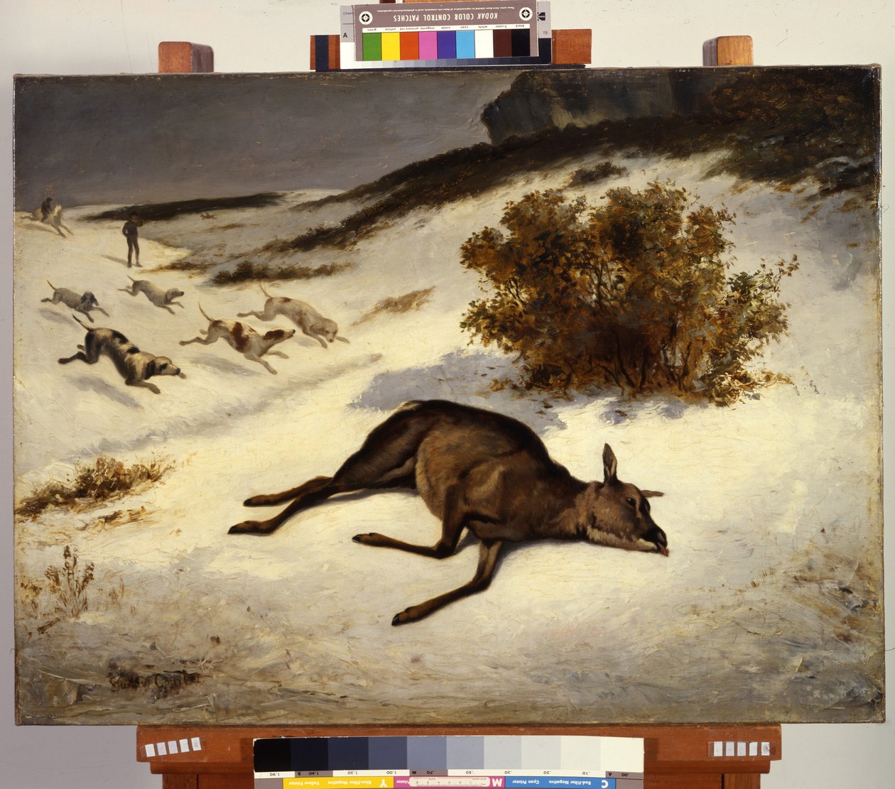 A szarvas a hóba zuhant alkotó: Gustave Courbet