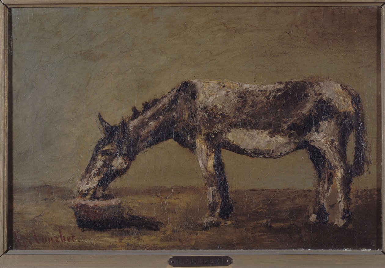 A szamár, 1862-1863 között (olaj, vászon) alkotó: Gustave Courbet