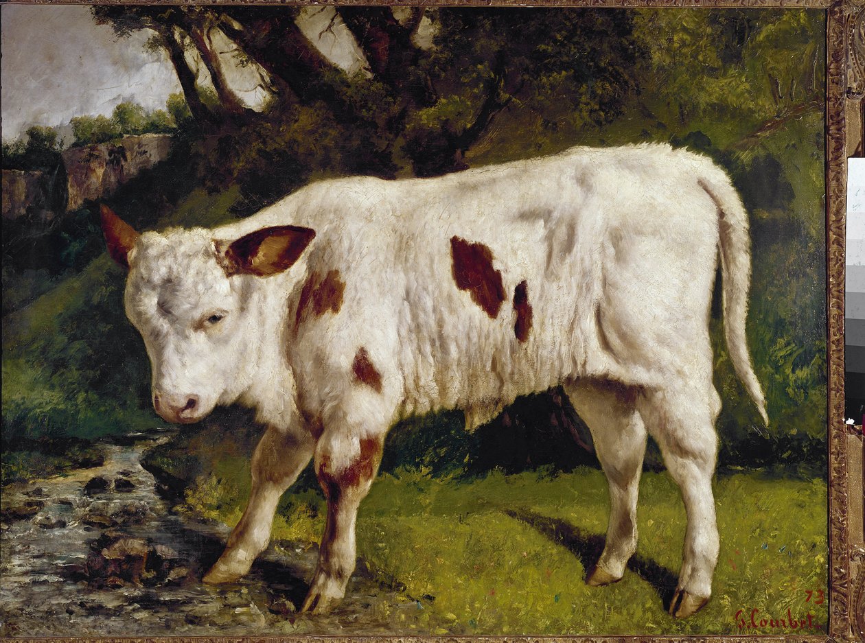 A borjú alkotó: Gustave Courbet