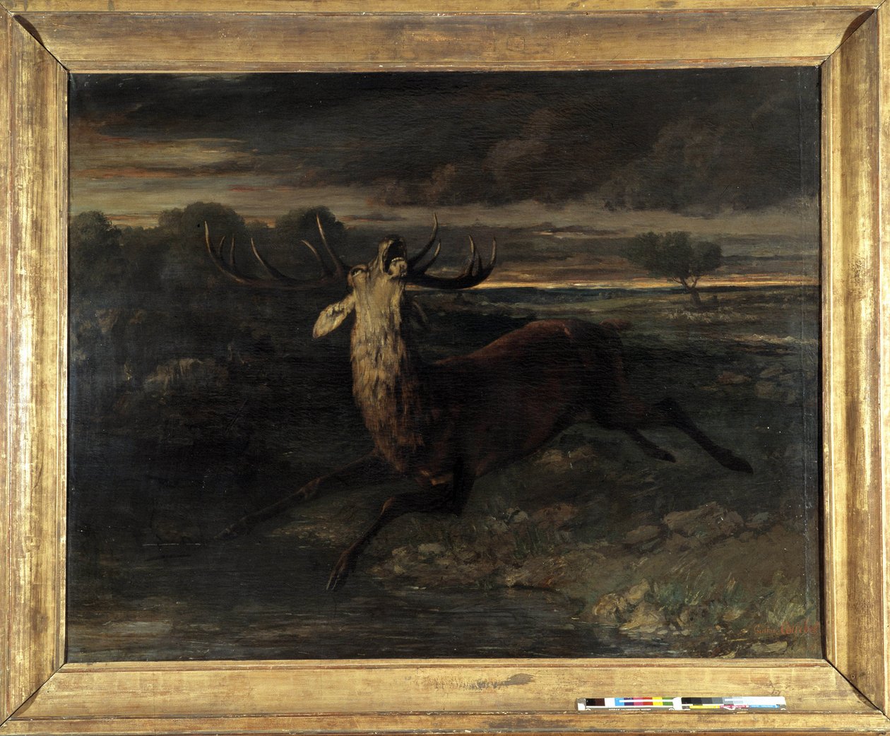 A szarvasnak van vize (kifutásra vadászik) azt mondja, hogy a szarvaserő (olaj, vászon) alkotó: Gustave Courbet