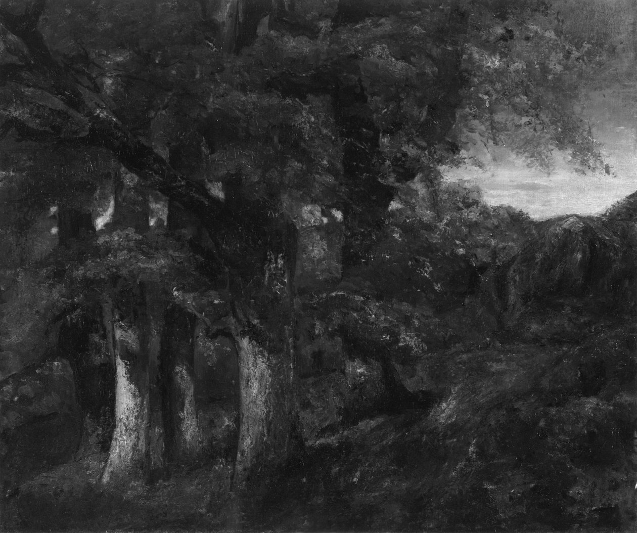 Erdős Táj alkotó: Gustave Courbet