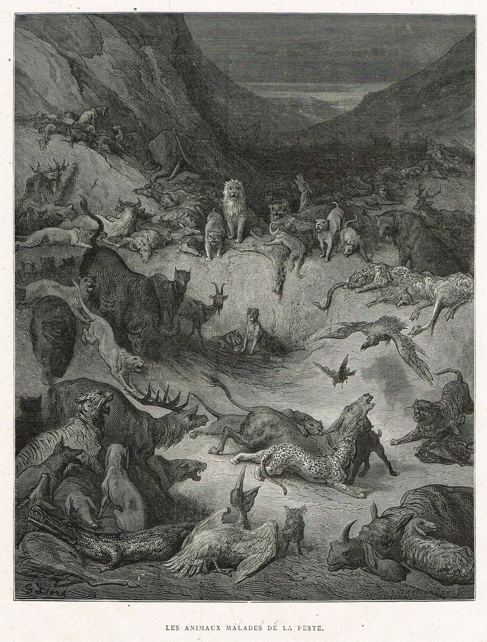 A pestisben megbetegedett állatok alkotó: Gustave Dore