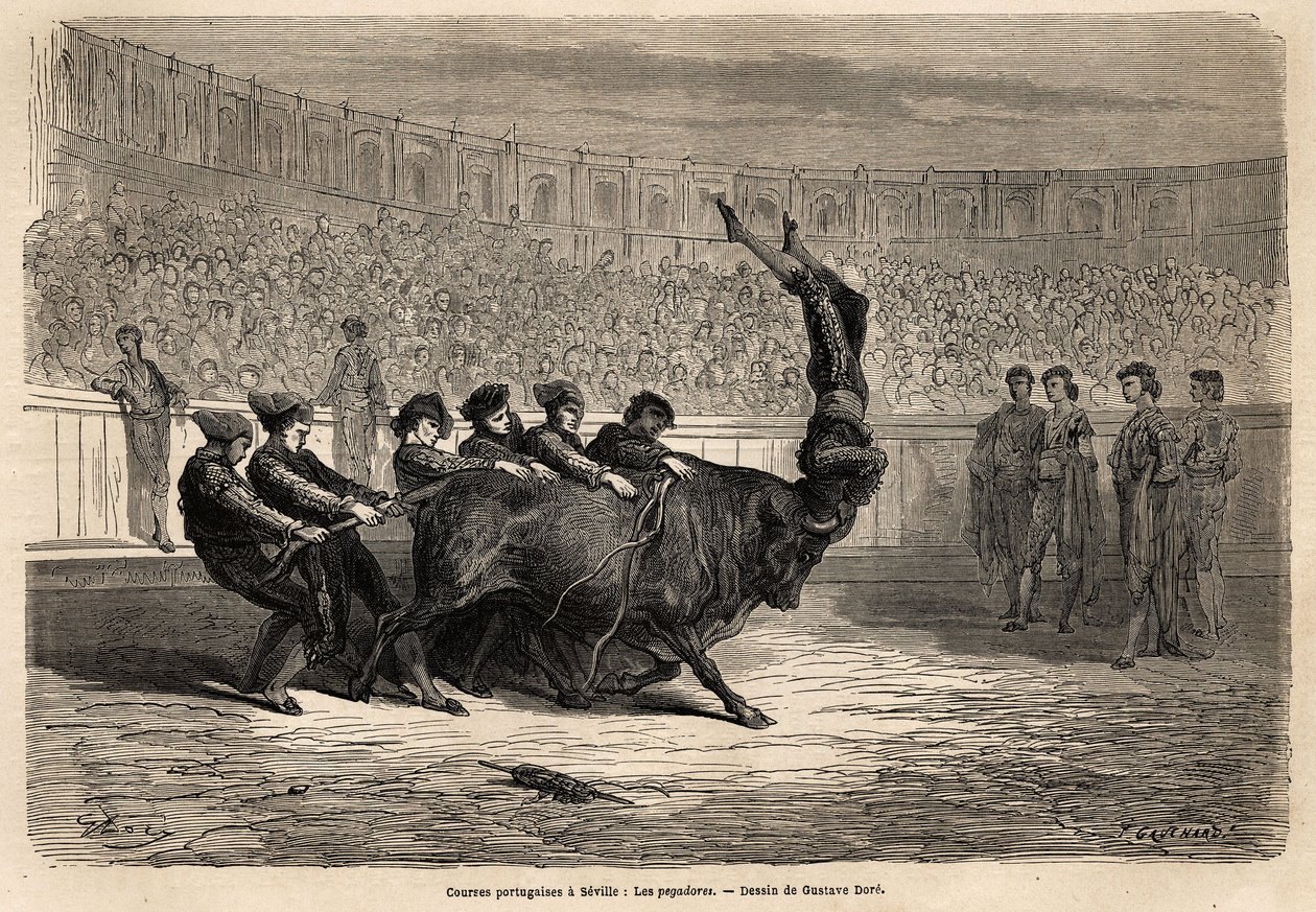 Egy bikaviadal jelenet, a sevillai Pegatores alkotó: Gustave Dore
