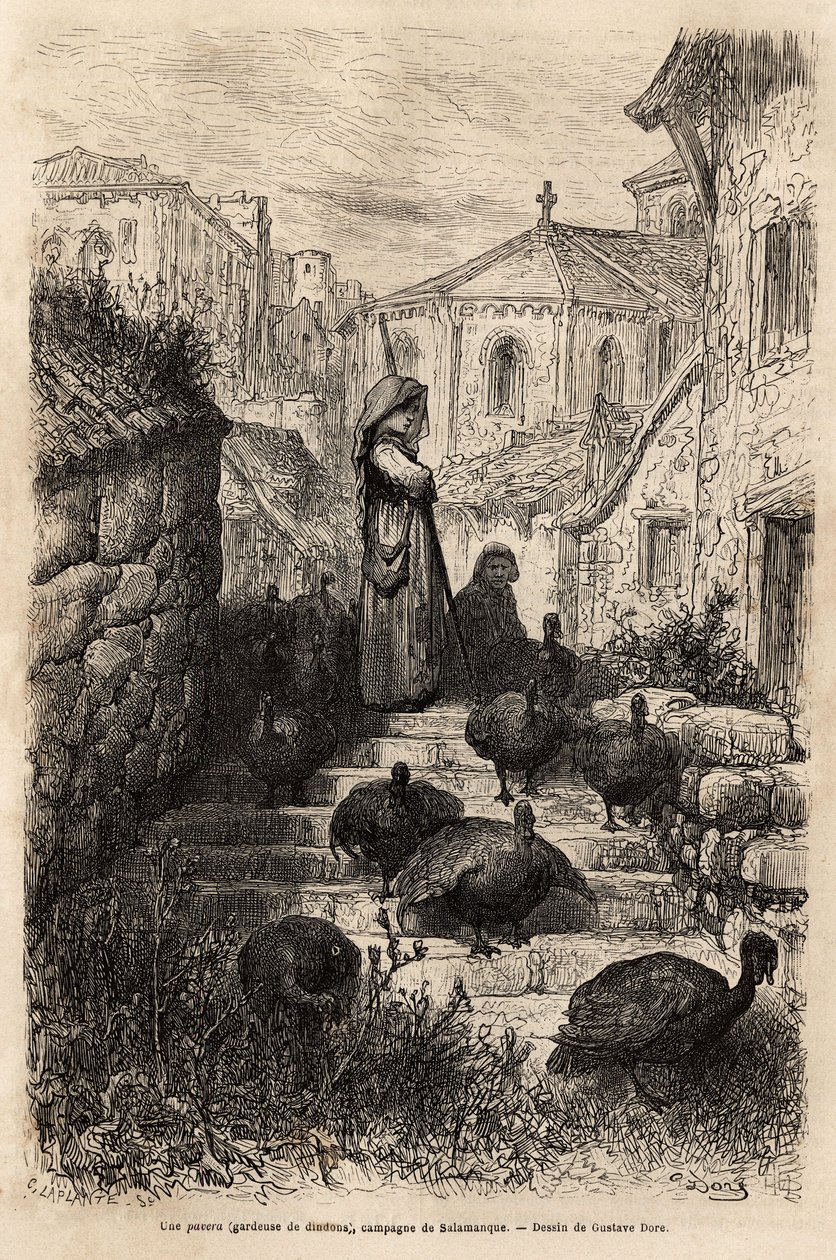 Pulykatartó, egy falu utcáin Salamanca vidékén. Gustave Dore (1832-1883) rajza. A spanyolországi utazást illusztráló metszet Charles Davilliertől 1862-ben, megjelent a „Le tour du monde”” 1872-ben, Edouard Chart szerkesztésében alkotó: Gustave Dore