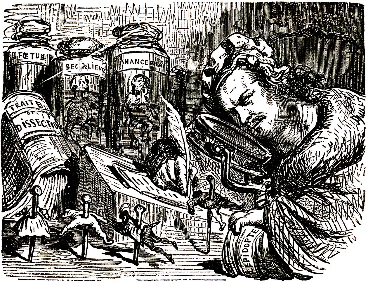 Honore de Balzac (1799-1850) karikatúrája, melyet Gustave Dore (1832-1883) készített a Tales Drolatiques (1855) számára: az író egy enthomológus, aki az embereket rovarokként tanulmányozza enthomológiai és boncolási vázlatokkal, valamint üvegekkel teli sze alkotó: Gustave Dore