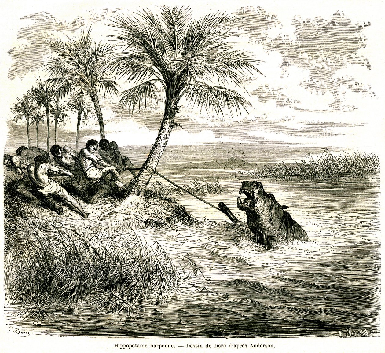 Vadászat a Teoghe folyón, a Ngami mellékfolyóján. Víziló szigony. Gustave Dore metszete, amely a "Les aventures et chasse du voyageur Charles-Jean Anderson dans l