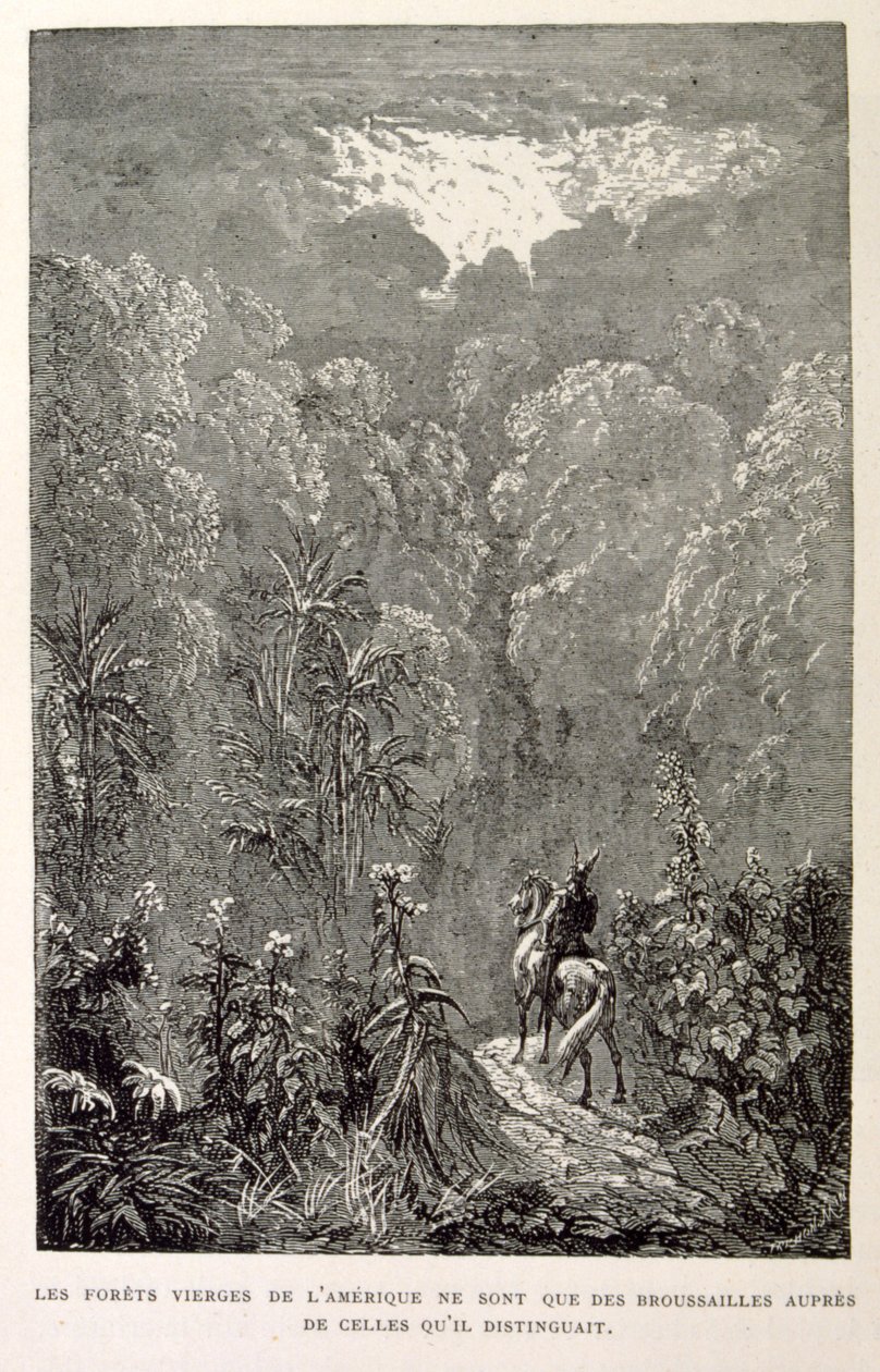 Amerikai erdő illusztrációja. a La legende de Croque-Mitaine című kötetből. alkotó: Gustave Dore