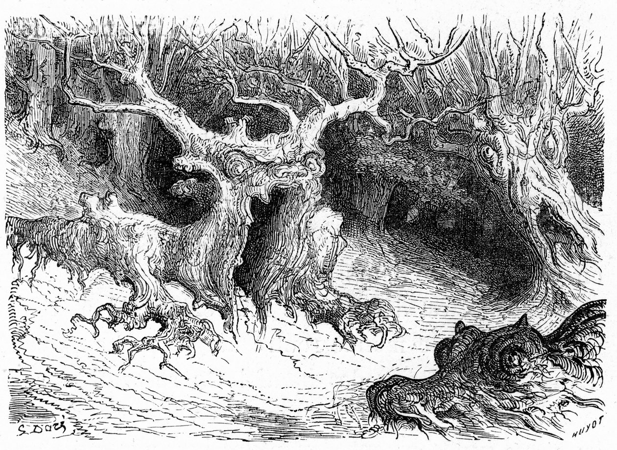 Szörnyeteg bükk az Ossau völgyében, antropomorf szörnyfák. Gustave Dore metszete, amely az "Voyage aux Pyrenees d
