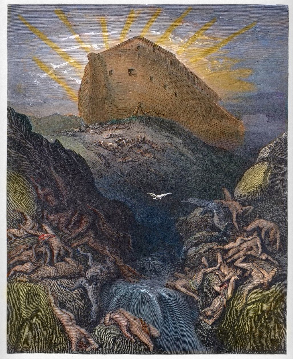 Noé bárkája – A bárkából kiküldött galamb – Noé bárkájából kiküldött galamb – Gustave Dore (1832-1883) „A Biblia illusztrációja” című metszet – Metszet a „” The Dore Bibliából” alkotó: Gustave Dore