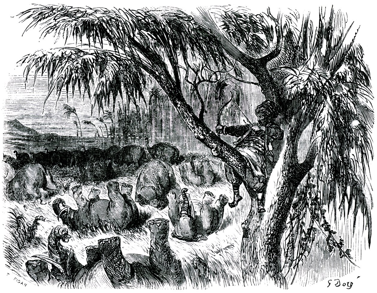 Szindbád a tengerész (Szindbád) - Az ezeregy (1001) éjszaka története - Gustave Dore illusztrációja - Maxwell kiadás 1865 - Hetedik utazás: Szindbád, egy fán ülve, íjával elefántokat ránt alkotó: Gustave Dore