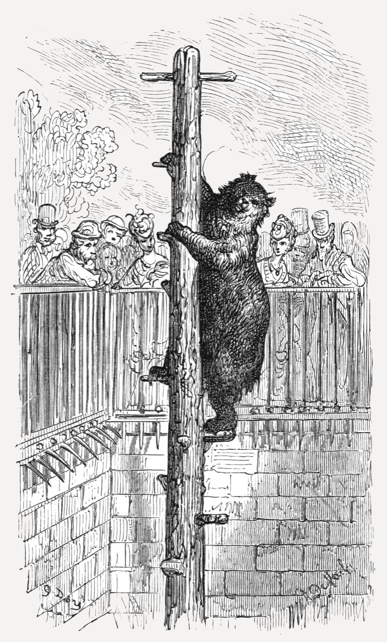 „A Medvegödör – Állatkert”, 1872. alkotó: Gustave Dore