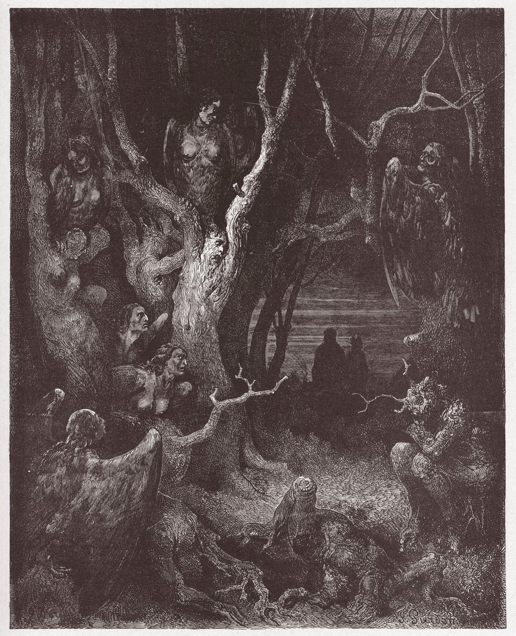 Az isteni színjáték (La Divina Commedia, La Divine Comedie), Inferno, 13. ének: A hárpiák az öngyilkosok erdejében - Dante Alighieri (1265-1321) - Illusztráció: Gustave Dore (1832-1883) alkotó: Gustave Dore