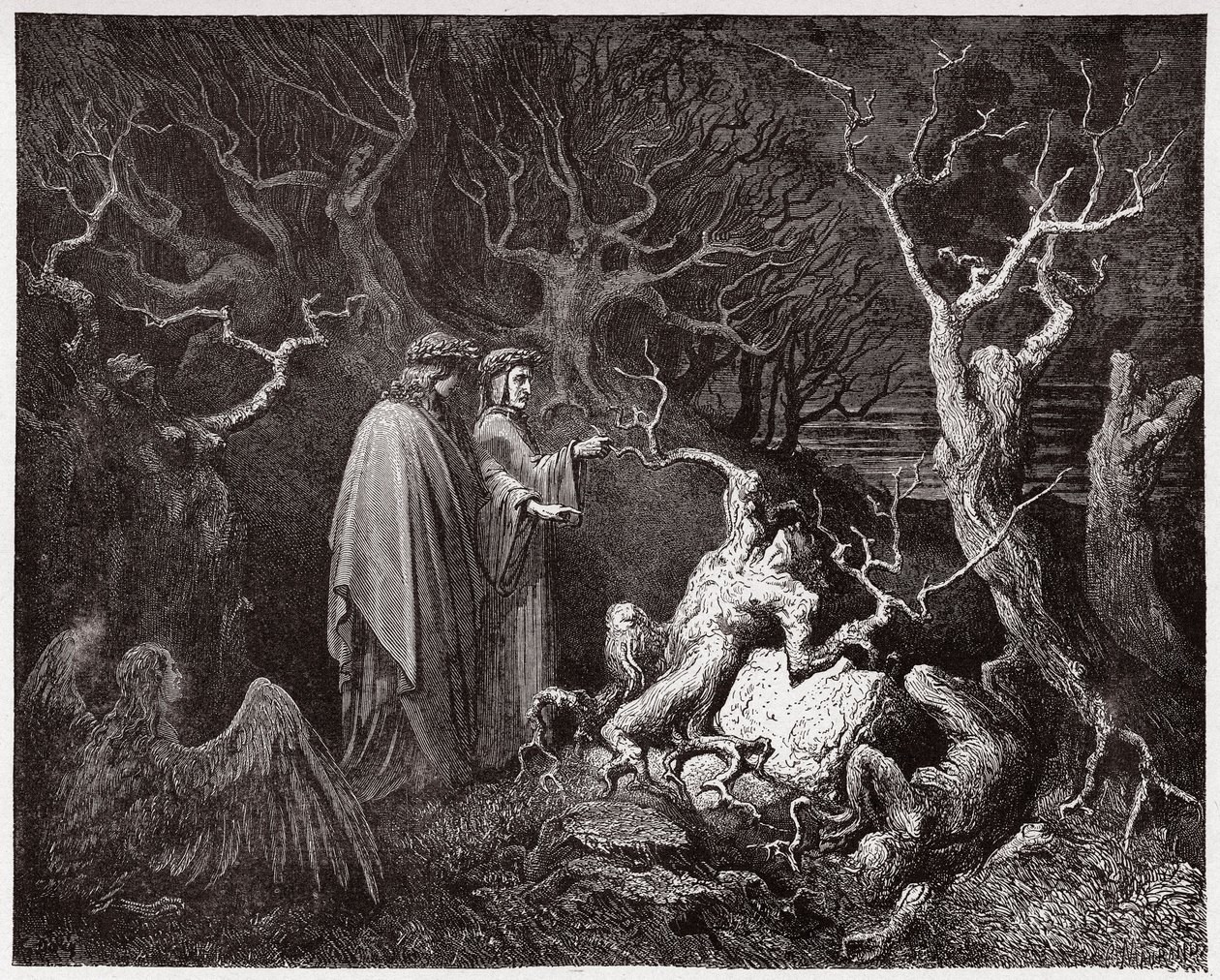 Az isteni színjáték (La Divina Commedia, La Divine Comedie), Inferno, 13. ének: Öngyilkosok az erdőben - Dante Alighieri (1265-1321) - Illusztráció: Gustave Dore (1832-1883) alkotó: Gustave Dore
