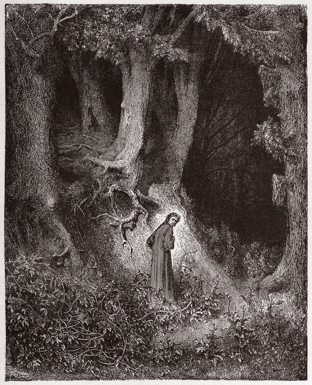Az isteni színjáték (La Divina Commedia, La Divine Comedie), Inferno, 1. ének: Dante a vad erdőben - Dante Alighieri (1265-1321) - Illusztráció: Gustave Dore (1832-1883) alkotó: Gustave Dore