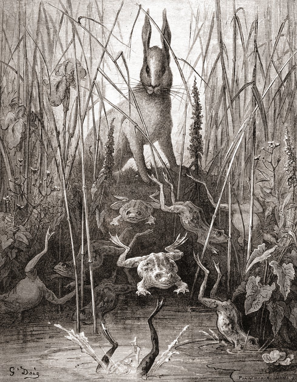 A nyúl és a békák, a Fables de La Fontaine 19. század végi kiadásából (fametszet) alkotó: Gustave Dore