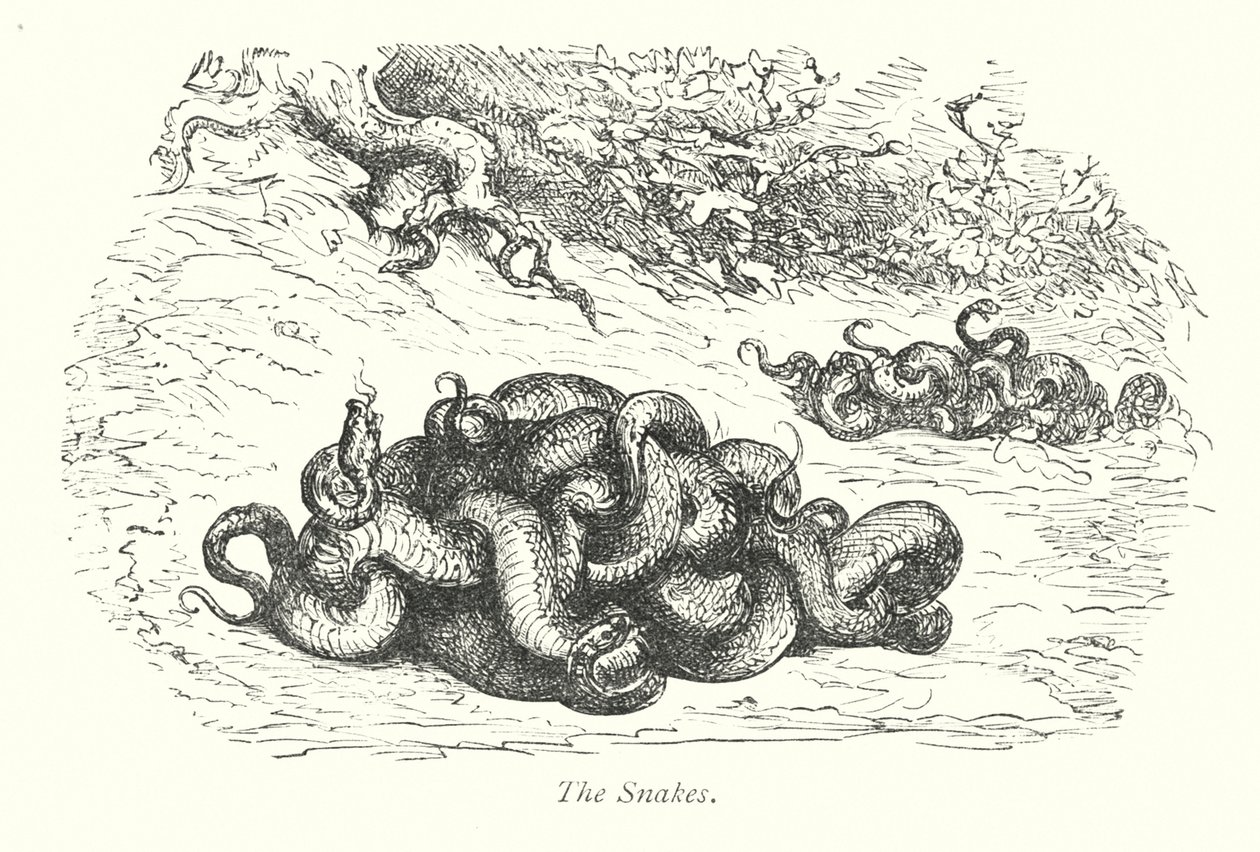 A kígyók (metszet) alkotó: Gustave Dore