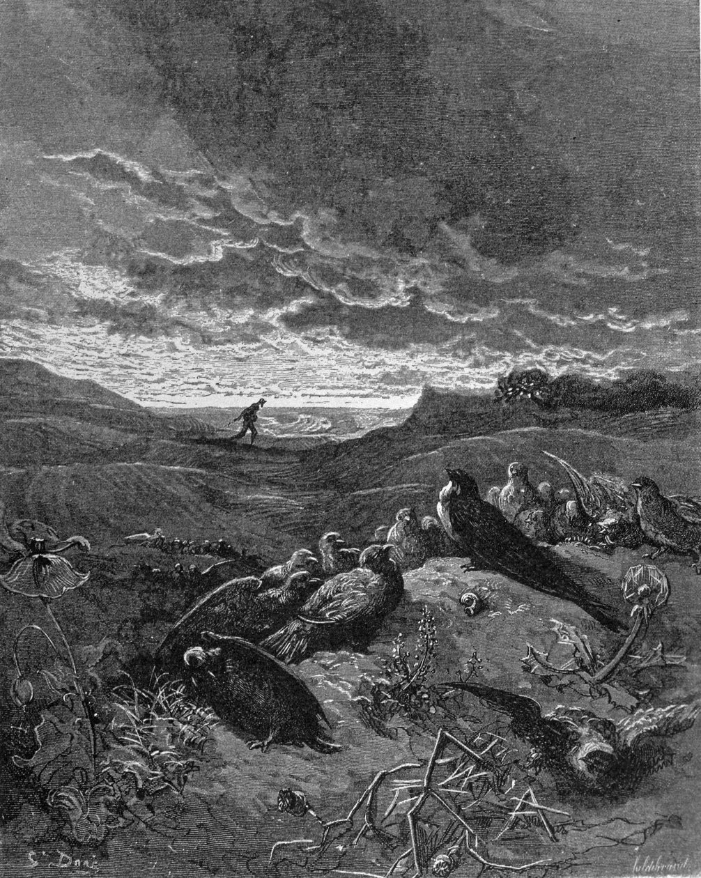 A fecske és a madarak, illusztráció La Fontaine „Fables” című művéből, 1868 alkotó: Gustave Dore