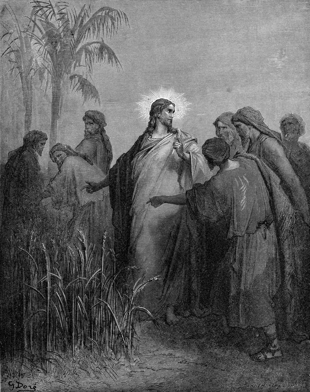 A tanítványok kukoricát szednek szombaton alkotó: Gustave Dore