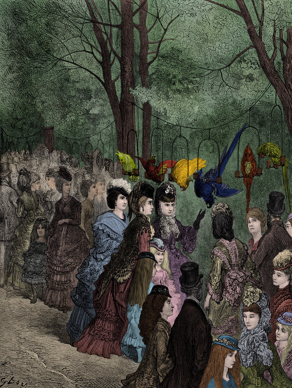 Doré a papagáj séta egy viktoriánus londoni állatkertben alkotó: Gustave Dore