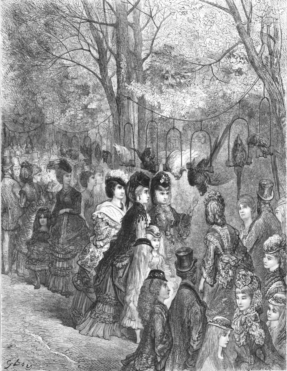 „Zoological Gardens – The Parrot Walk”, 1872. alkotó: Gustave Dore
