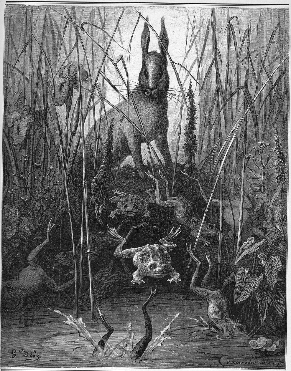 the hare and the frog - The Hares and the Frogs - from "Fables" by Jean de La Fontaine alkotó: Gustave Dore