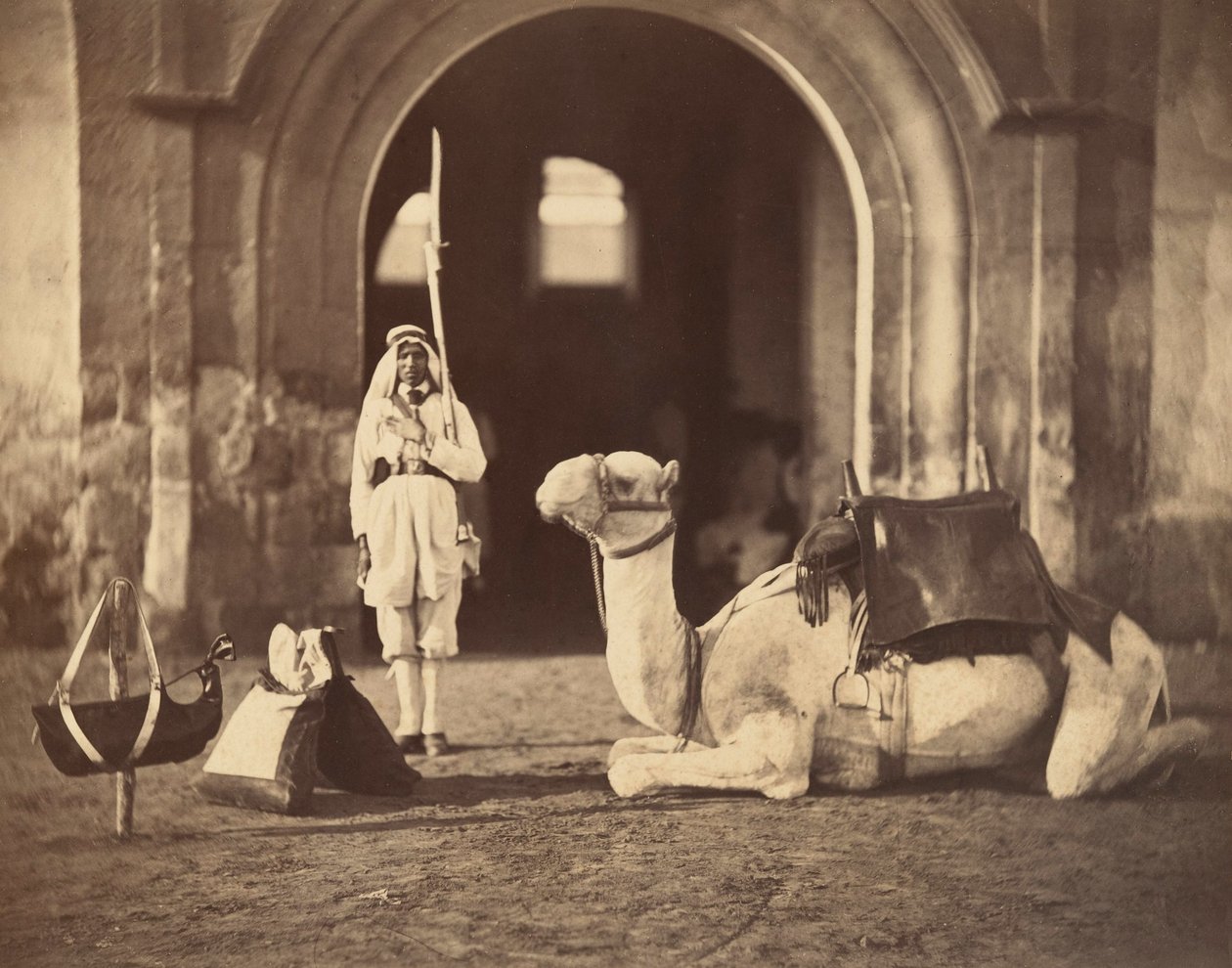 Teve fekve, 1866 körül (fotónyomat) alkotó: Gustave Le Gray