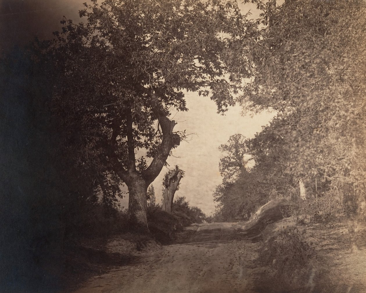 Fontainebleau, homokos ösvény felfelé, kb. 1856. alkotó: Gustave Le Gray