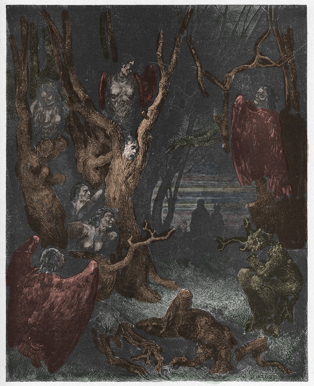 Inferno, 13. ének: A hárpiák az öngyilkosok erdejében, illusztráció Dante Alighieri Isteni színjátékából, 1885 (digitálisan színes metszet) alkotó: Gustave after Dore