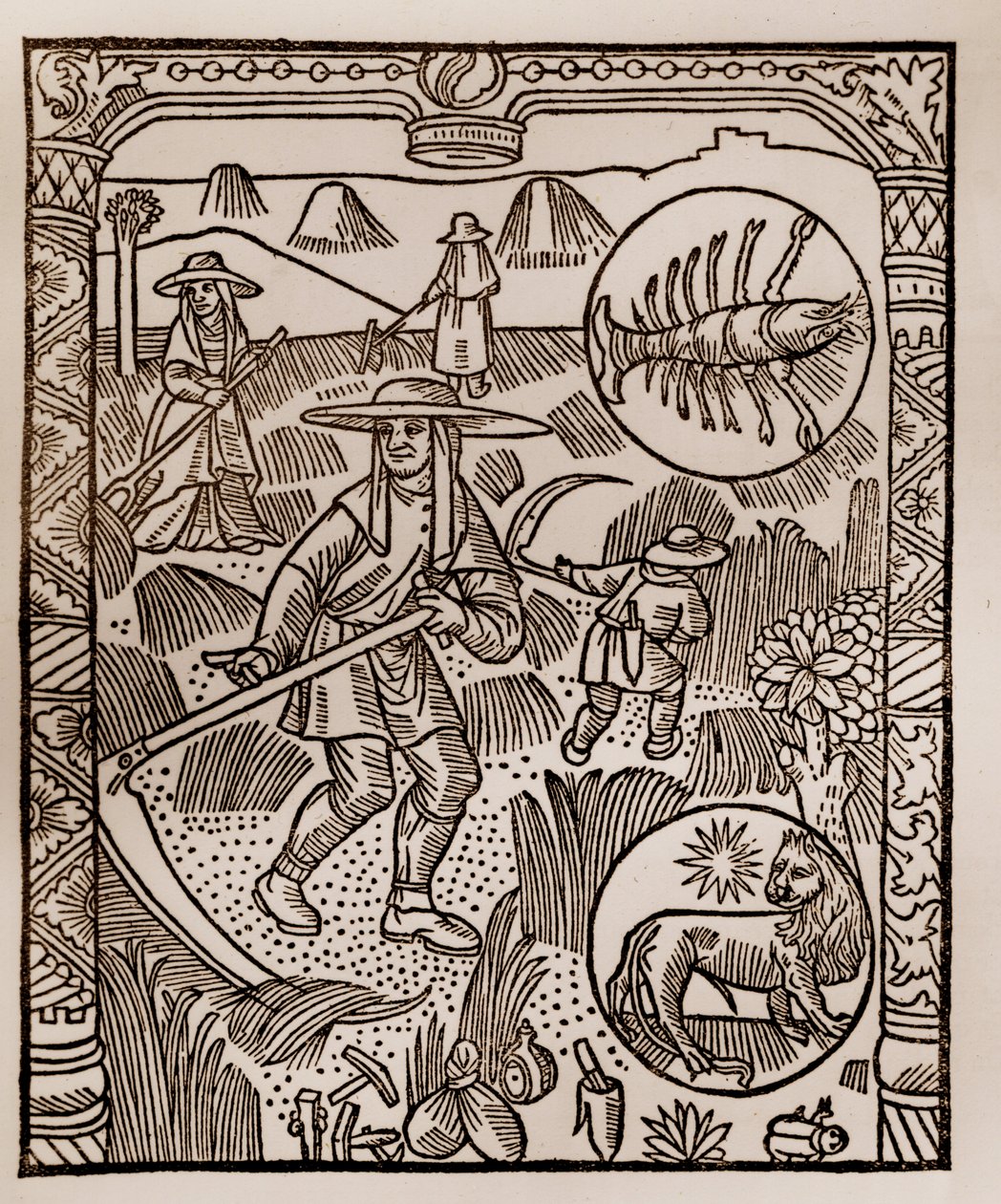 Pásztornaptár - A hónapok munkája - július - Fametszet a Guy Marchant (Guido Mercator) által Troyes-ban nyomtatott 1496-os könyvből - Hay, la coupe des hay - Gravírozás sur bois "" Le grand Calendrier et compost des shepherds"" - alkotó: Guy Marchant
