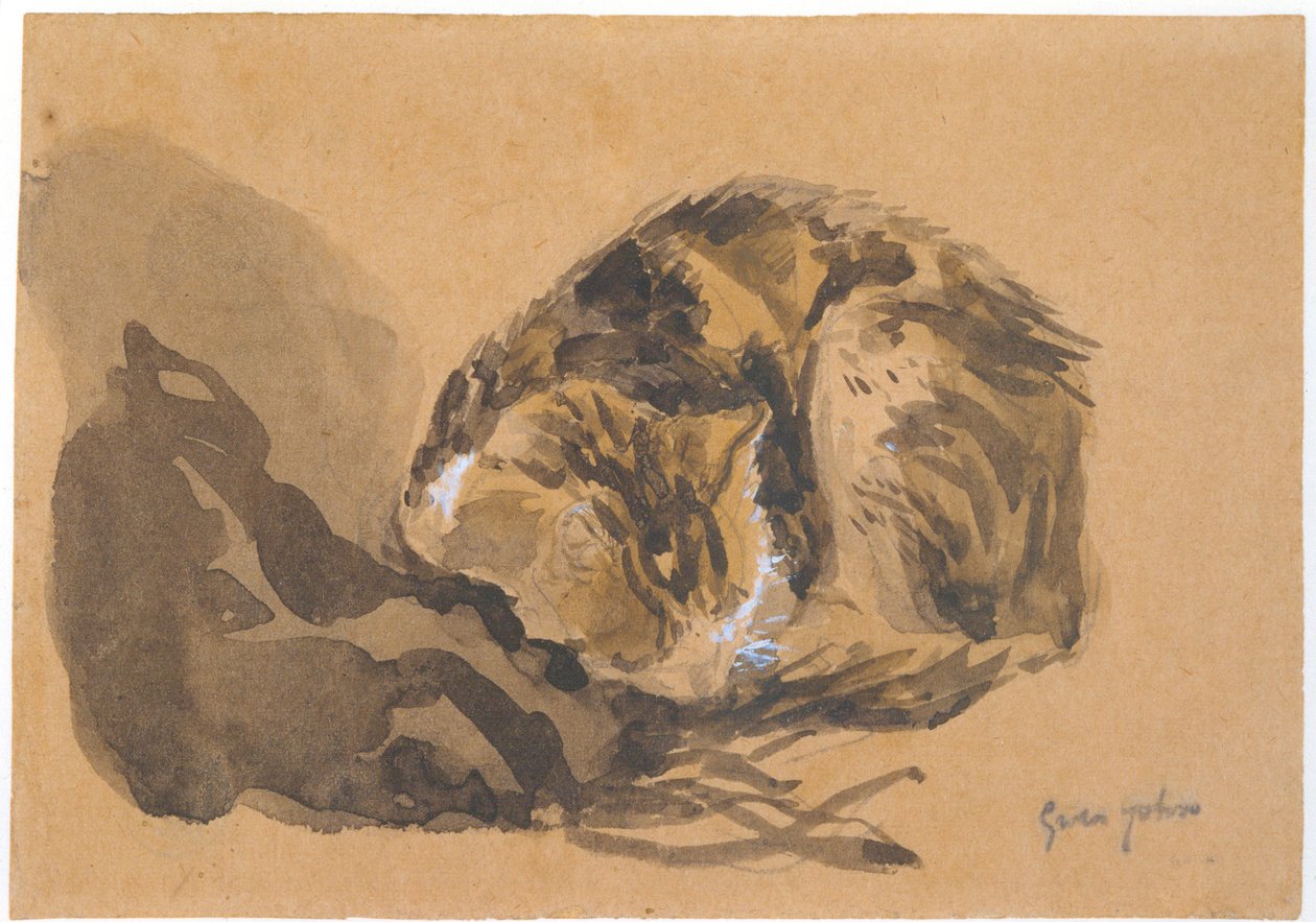 Tanulmány egy macskáról, 1905-08 alkotó: Gwen John