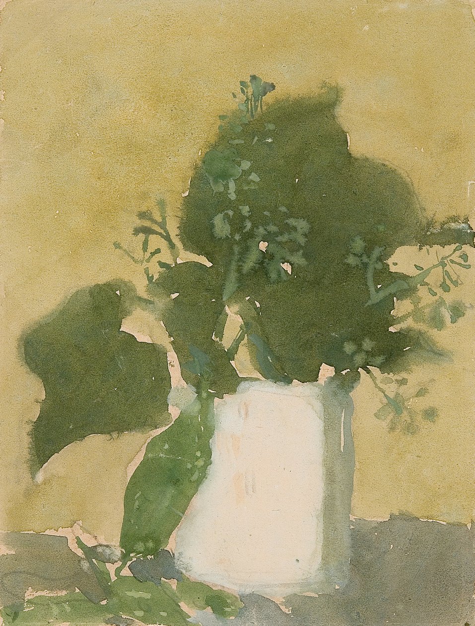 Zöld levelek fehér kancsóban (akvarell, gouache és ceruza, papír) alkotó: Gwen John