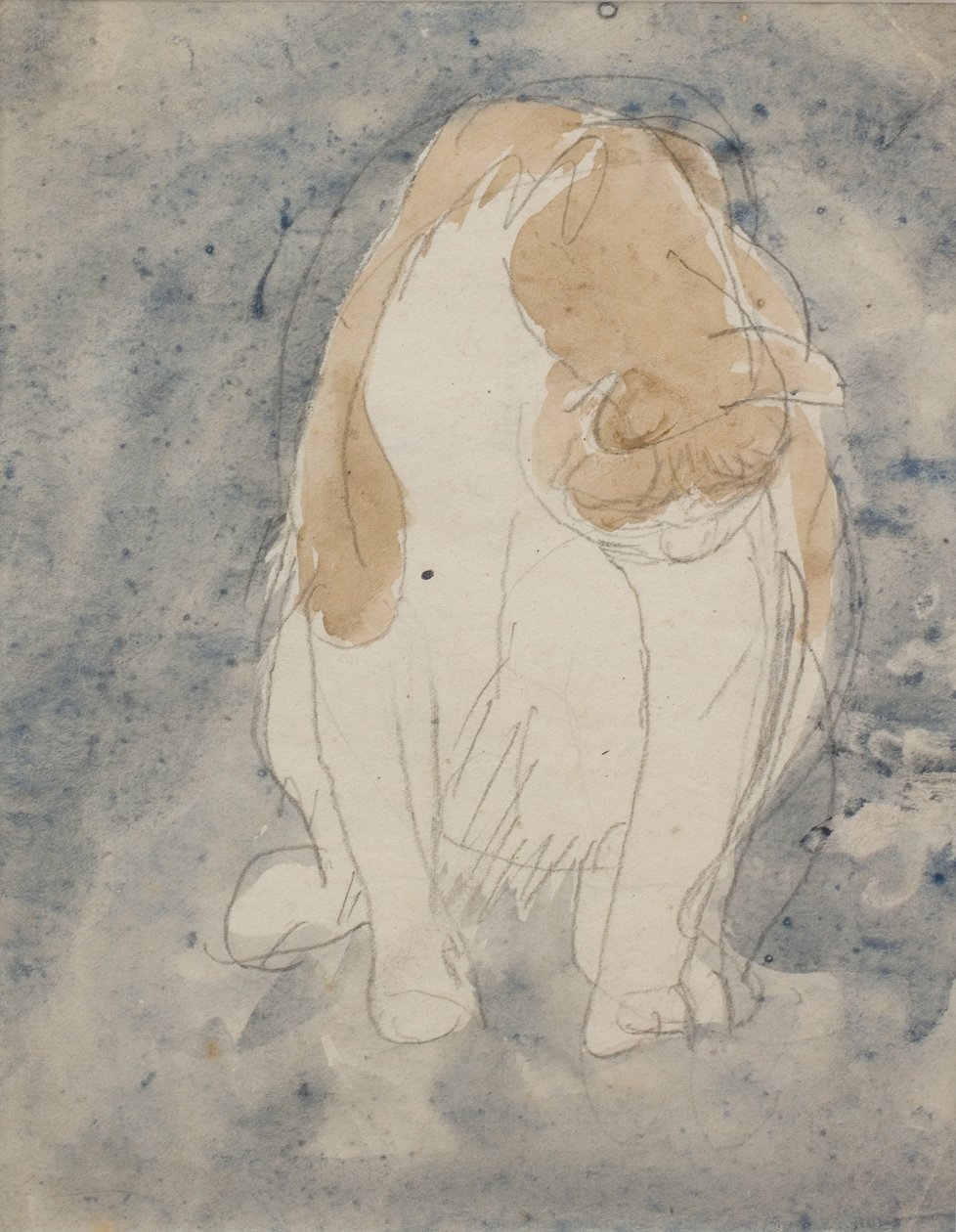 Macskatanulmány, 1910-20 körül (akvarell és grafitceruza, papír) alkotó: Gwen John