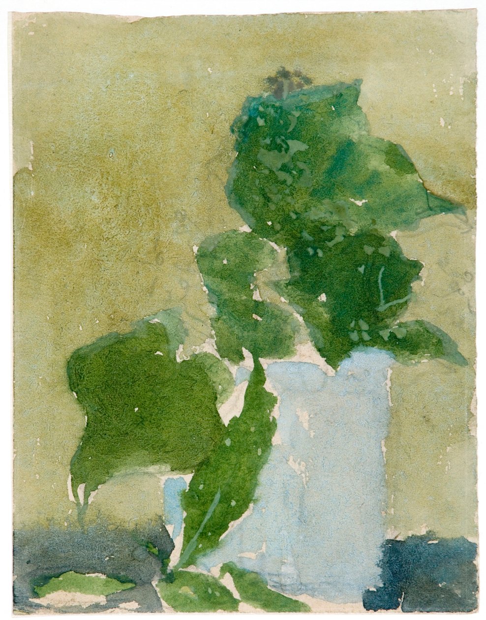 "Gyöngyvirágok kancsóban", 1896-1939 alkotó: Gwendolen Mary John