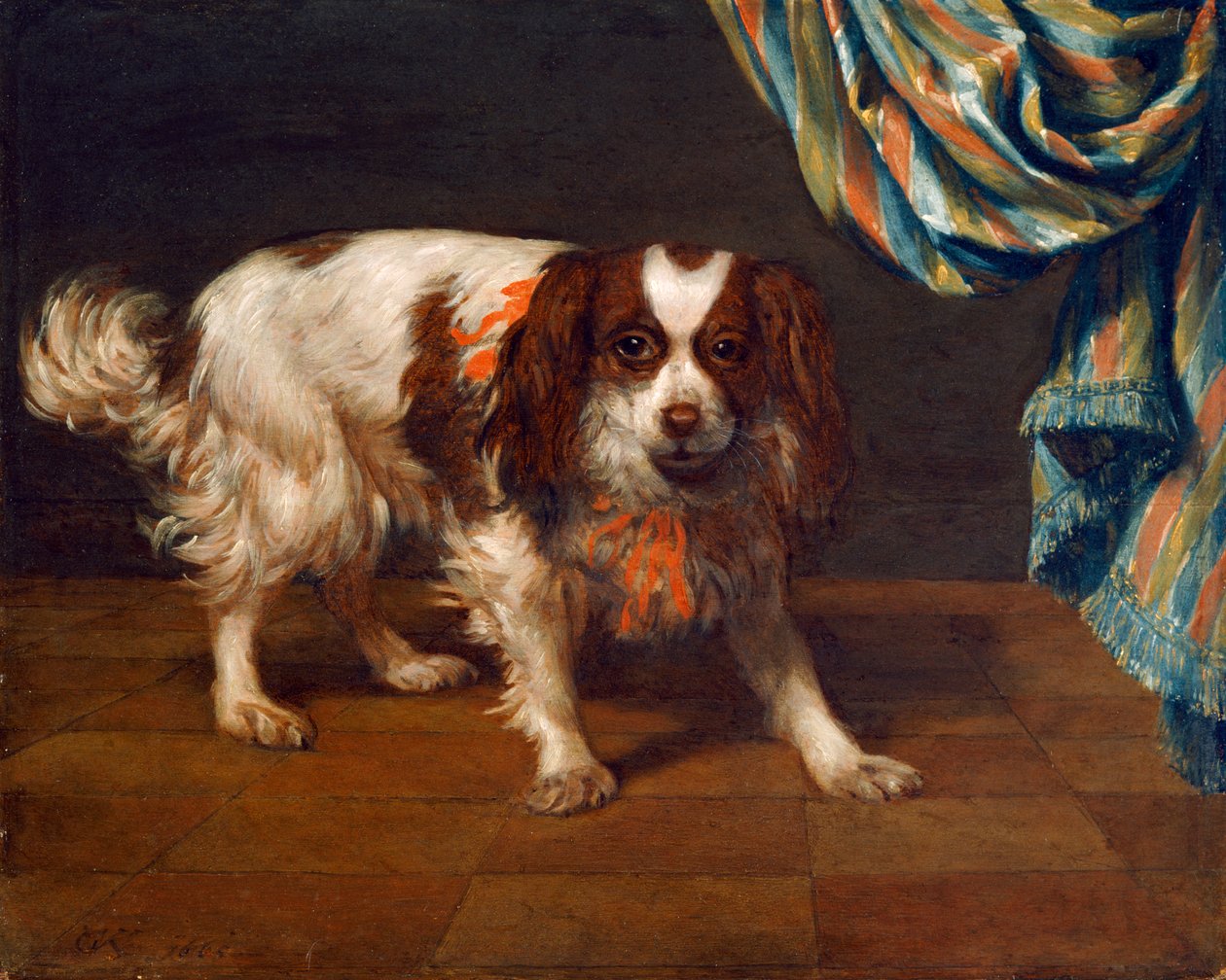 Egy King Charles spániel (olaj a panelen) alkotó: Gysbert van de Kuyl