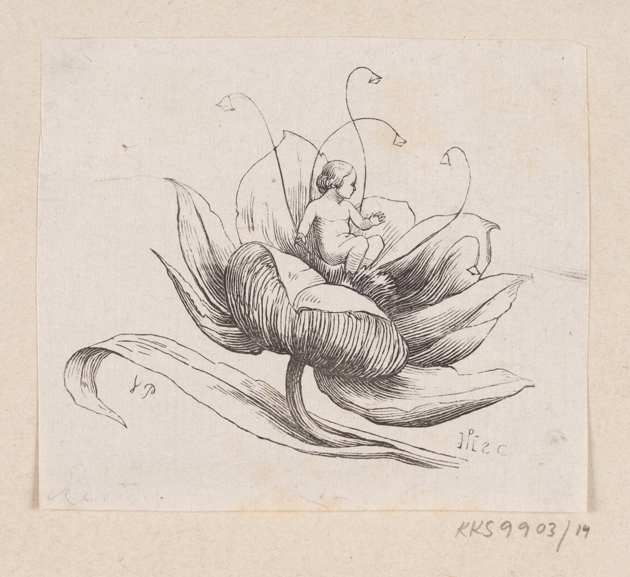 Illusztráció a "Tommelise"-hoz H.C. Andersen, "Tündérmesék és történetek", 1. kötet alkotó: H.P. Hansen