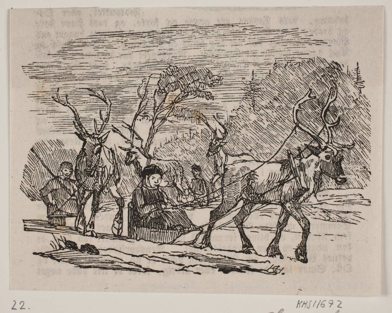 Szánkózás rénszarvasokkal alkotó: H. C. Henneberg