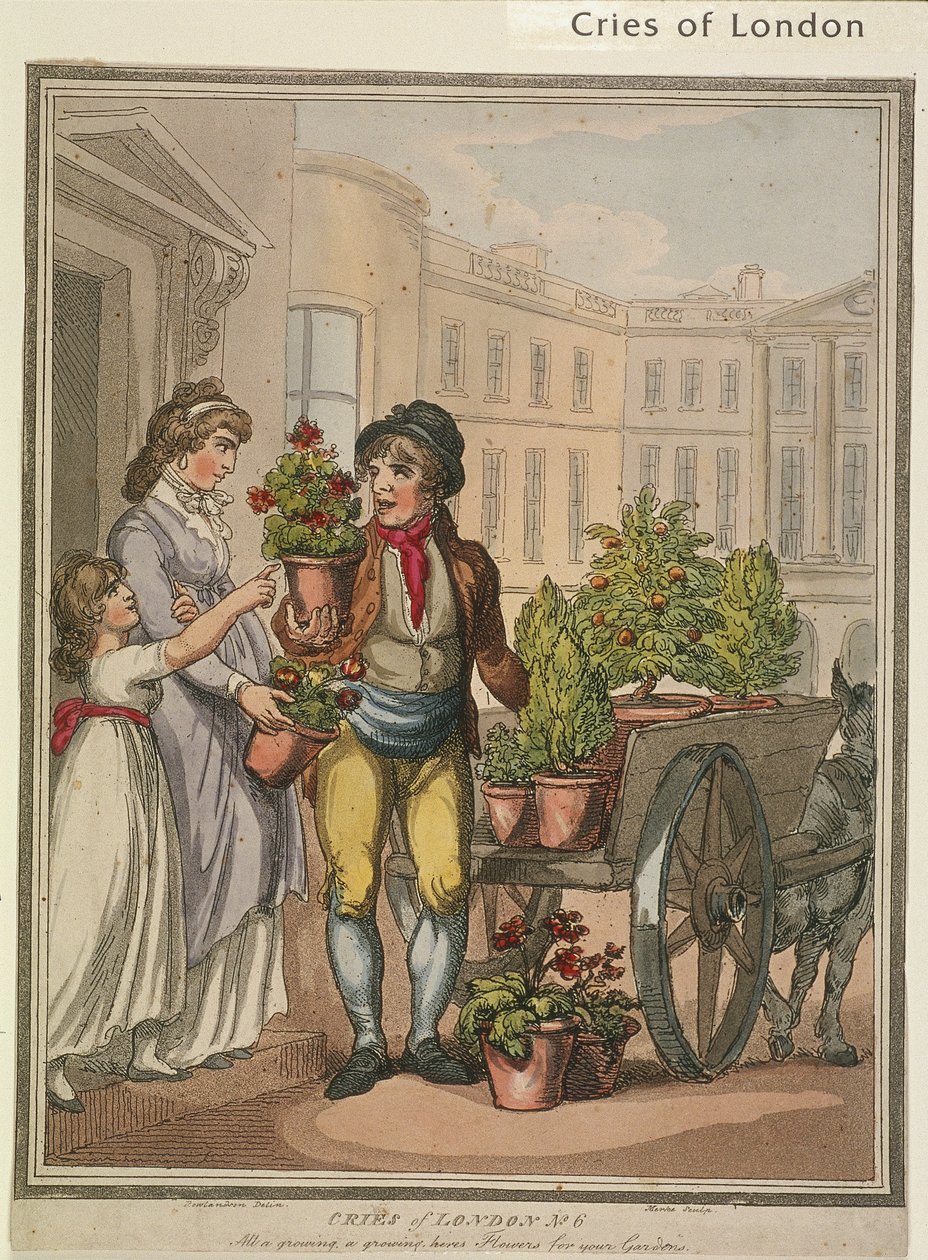 "Minden egy növekvő, egy növekvő, eretnek virágok neked kertek", VI. lemez, a Cries of London, 1799 alkotó: H Merke