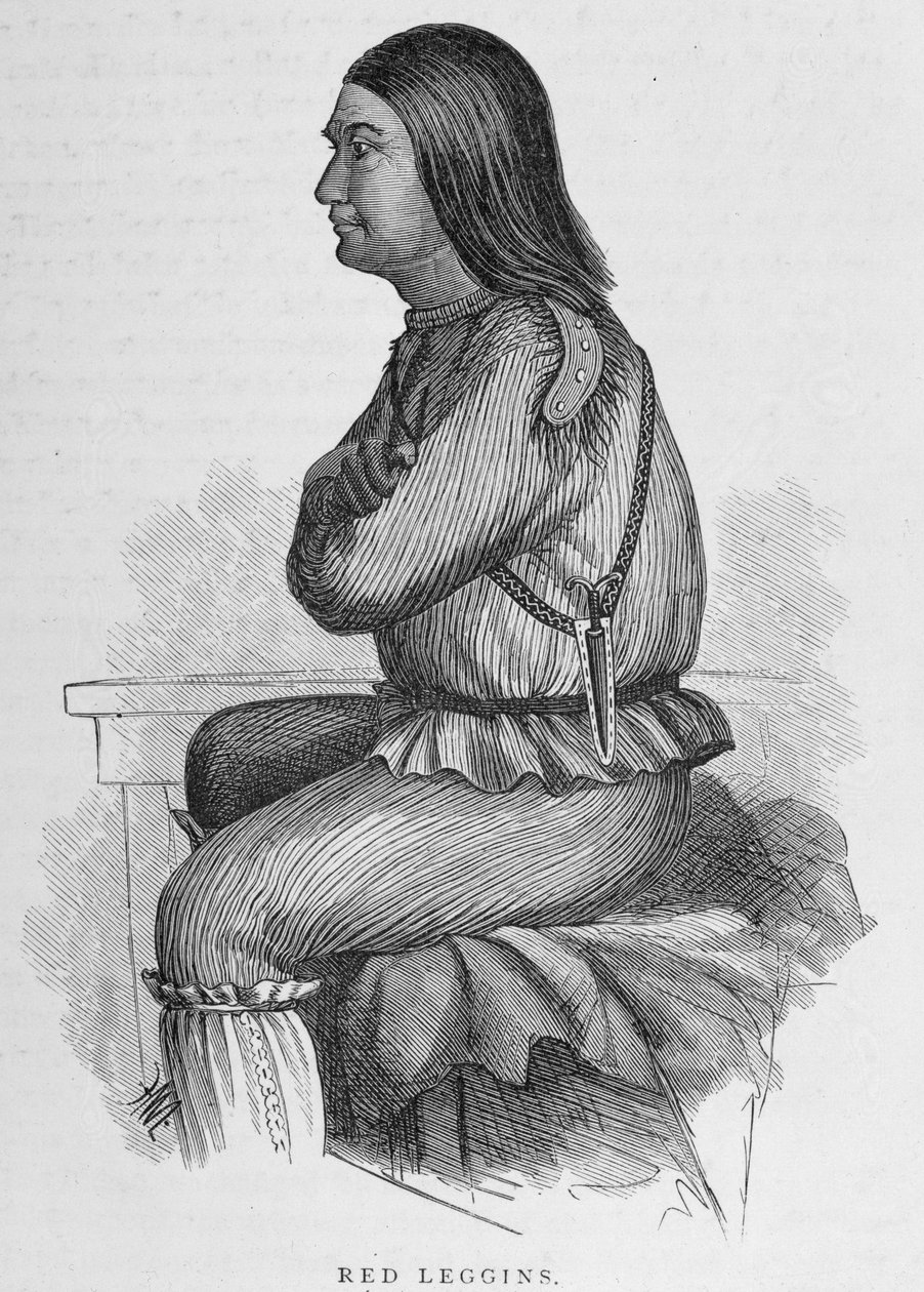 Red Leggins, Fort Yukon főnöke, „Alaska és erőforrásai”, William H. Dall, vésette John Andrew, pub. 1870 alkotó: H. W., Elliot