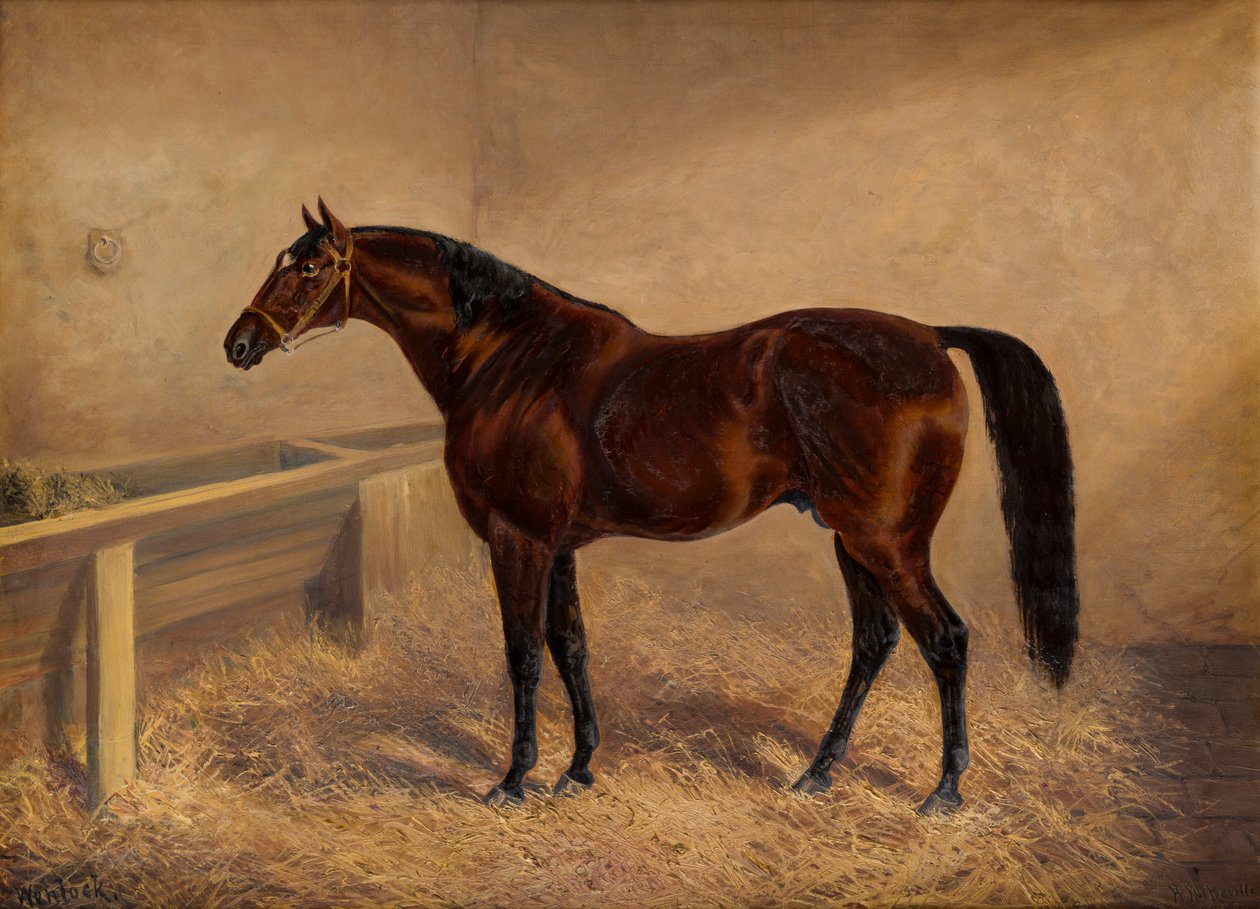 Wenlock: A Bay Racehorse, egy laza dobozban, 1881-1903 körül (olaj, vászon) alkotó: H. Whittaker Reville