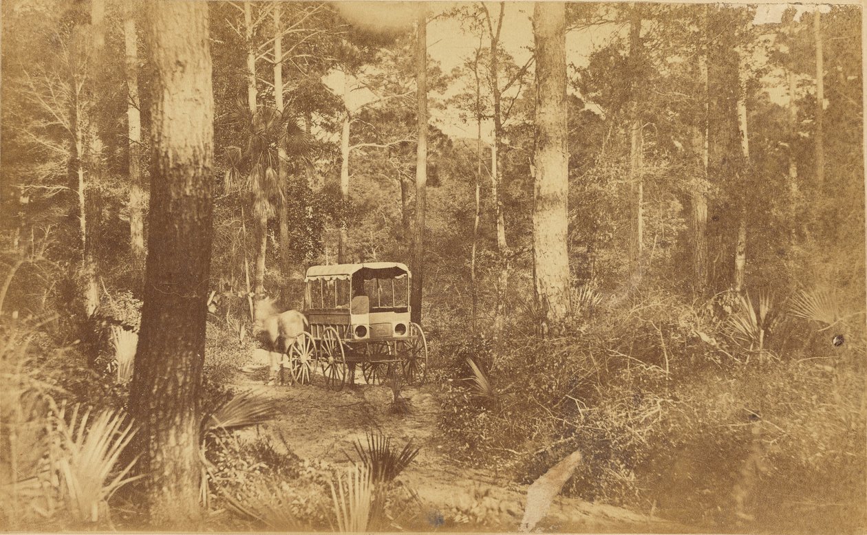 Jelenet a Folly-szigeten alkotó: Haas and Peale