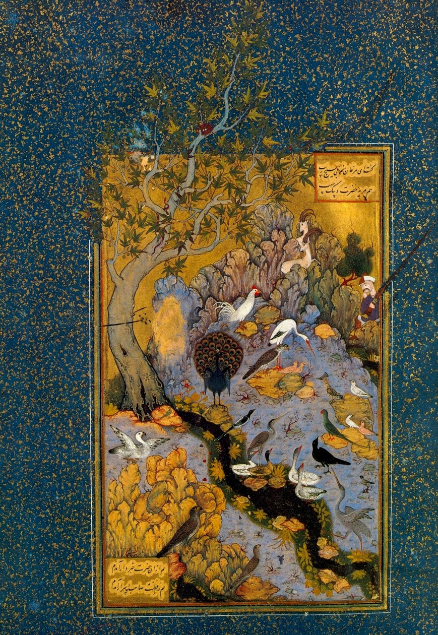 Folio a Mantiq al-Tayr-ből A madarak nyelve, Attar, c1600. alkotó: Habib Allah