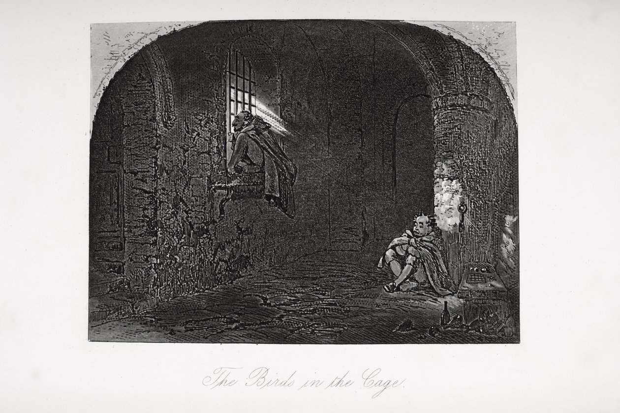 A madarak a ketrecben, illusztráció Charles Dickens (1812-70) „Little Dorrit” című művéből, először 1857-ben jelent meg alkotó: Hablot Knight Browne